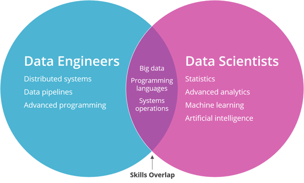 Data Engineer Skills vs Data Scientist Skills